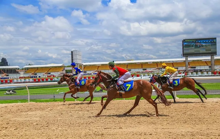 Đua Ngựa TK88 Nơi Hội Tụ Tỷ Lệ Cao Và Cách Chơi Hấp Dẫn