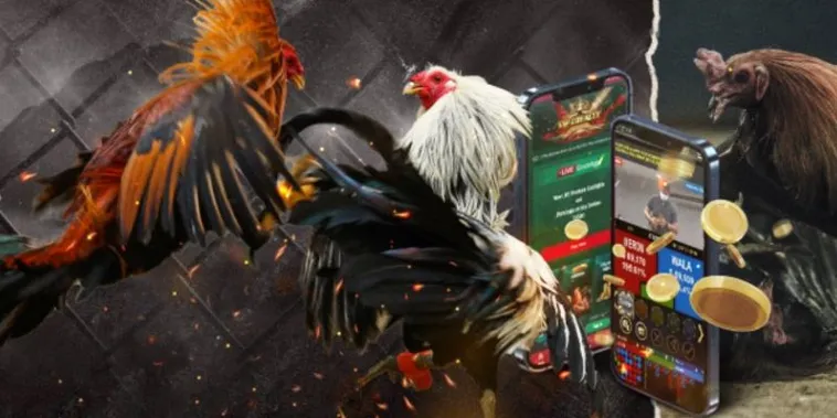 Cách Chơi Đá Gà GA28 Tại TK88 Với Hướng Dẫn Chi Tiết