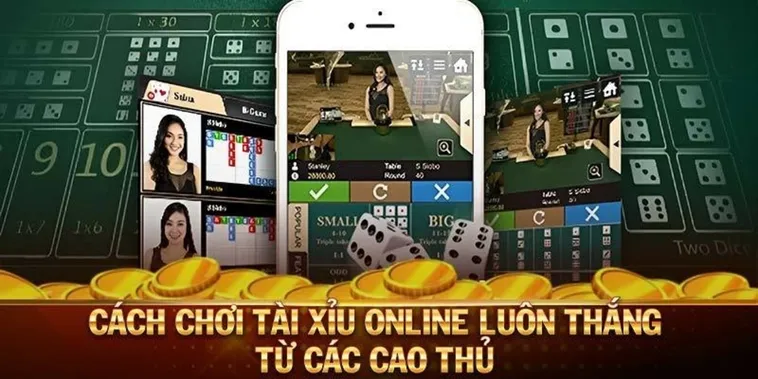Cách Chơi Tài Xỉu Nhà Cái TK88 Chuẩn Xác Hiệu Quả Cao 1 Cách Chơi Tài Xỉu Nhà Cái TK88 Chuẩn Xác Hiệu Quả Cao